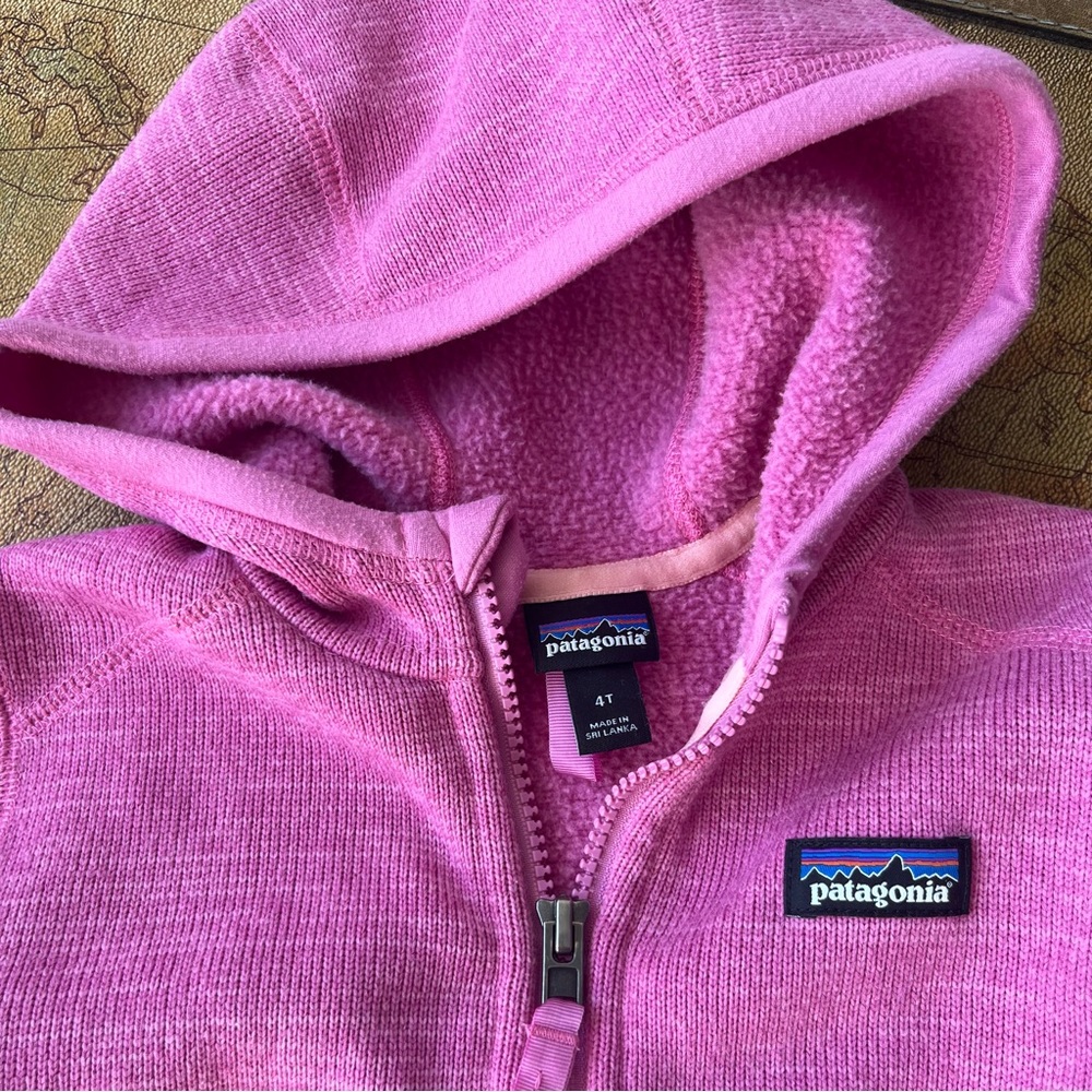 Pink Patagonia Fleece Jacket size 4T